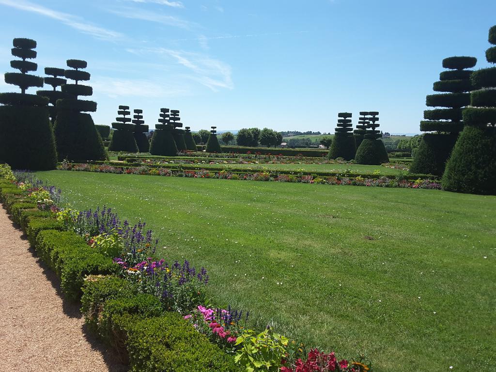 Chateau De Pizay Belleville-sur-Saone Exterior photo